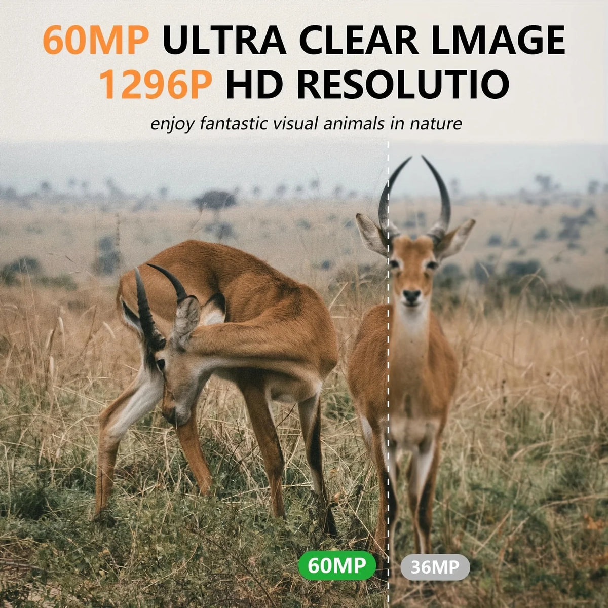3PCS Trail Camera with WiFi and APP Control, 60MP Hunting Camera, Motion Activated Night Vision, IP66 Waterproof, 120° Wide Angle with 32GB TF Card for Wildlife Monitoring