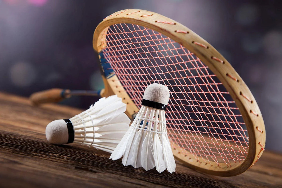 Badminton & Volleyball