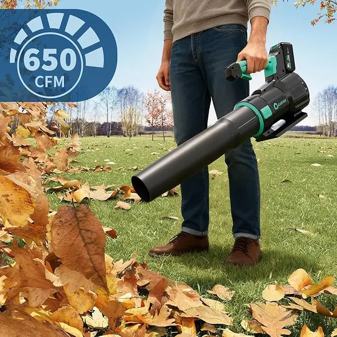 Cordless Leaf Blower 550 CFM and 150 MPH, Electric Leaf Blower 2 * 2.0Ah Battery, 20V Blowers Cordless for Lawn, Yard, Garden