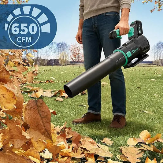 Cordless Leaf Blower 550 CFM and 150 MPH, Electric Leaf Blower 2 * 2.0Ah Battery, 20V Blowers Cordless for Lawn, Yard, Garden